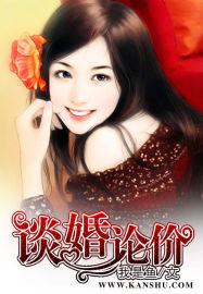 杨凡林琳婚劫妻子秘密封面