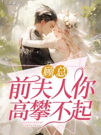 夜猫子奶团子封面