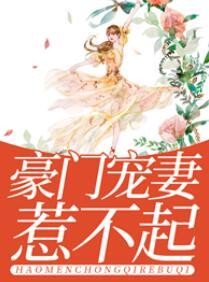 花锦歌秦瀚星封面