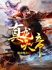 镇世枭雄txt下载封面