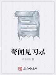 极品女婿封面