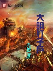 纯情大明星封面