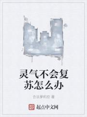 夏念念莫晋北封面