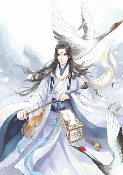连枝新书封面
