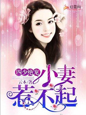 应少娇妻不好惹封面