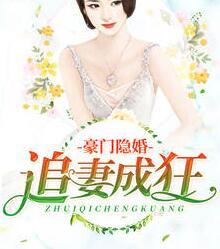 温允琛林微夏小说封面