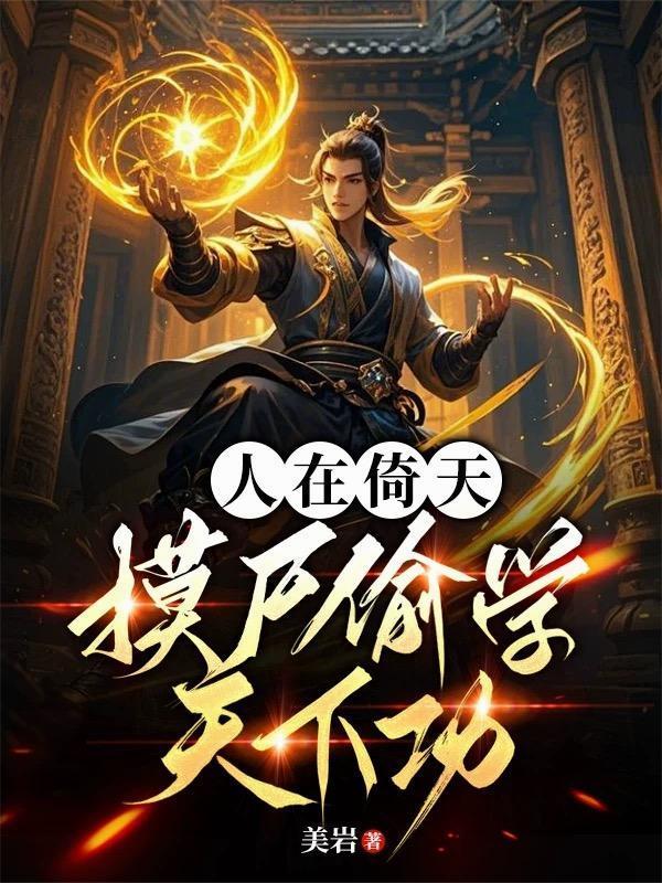援疆双城记封面