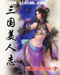 大明地师封面