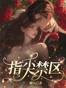 超维度玩家免费全集阅读封面