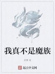 爱熄灭于风雪归途封面