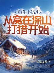 朝如梨花暮如雪封面