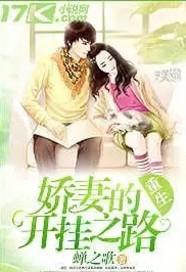 论人外与六眼的适配度封面