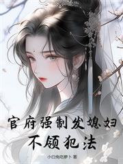 无限海克斯，我在诸天横行无忌封面