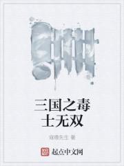 宿翼琴封面