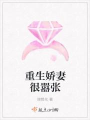 宁尘何琳封面