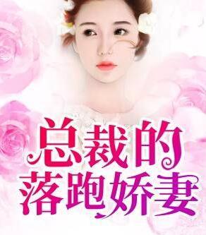 我家太子妃超凶的封面