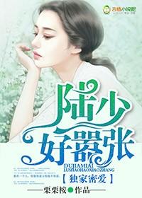 棠梨花落免费阅读封面