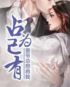 假姐妹的爱李明娉李明婷封面