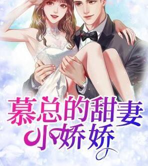 林楚虞程燃免费阅读封面