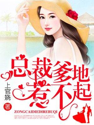 一念佳人小说陆斐盈枝封面