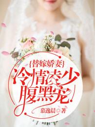 盛少撩妻100式封面