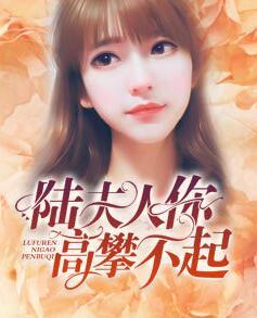 被虐后前夫他疯了封面