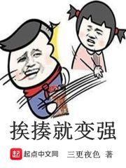 宠物小精灵之黑色幻想封面