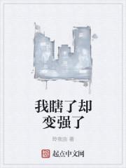 齐云飞封面