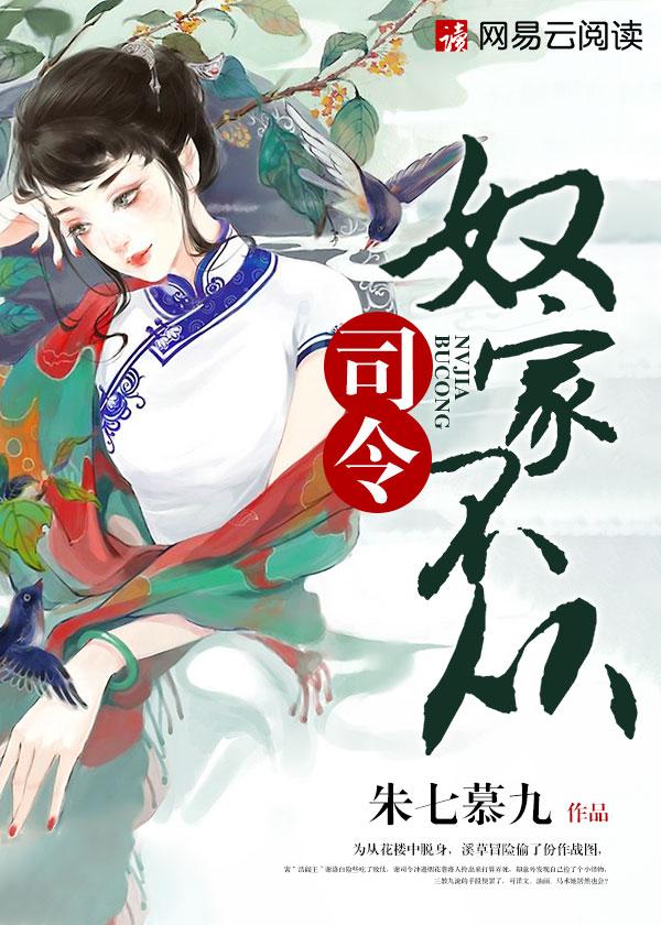 晏入岐家封面