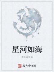 许南栀贺时琰小说更新封面