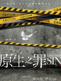 宁宛叶振宇封面