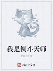 许青柠沈淮铭小说封面