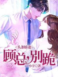 月光心悦封面