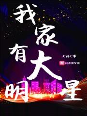血夜国度封面