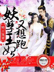 时光仍在，再爱不迟封面