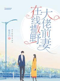 青金石封面