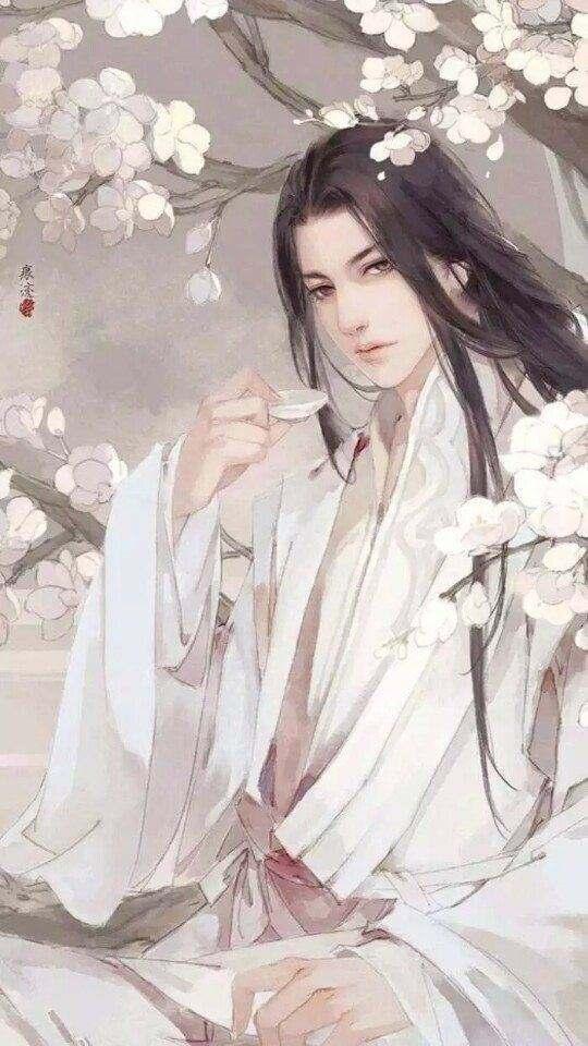 少年圣医林树穆婉儿封面