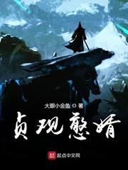 谢时嫣陆翊封面