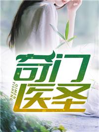 宋晚周琛小说封面