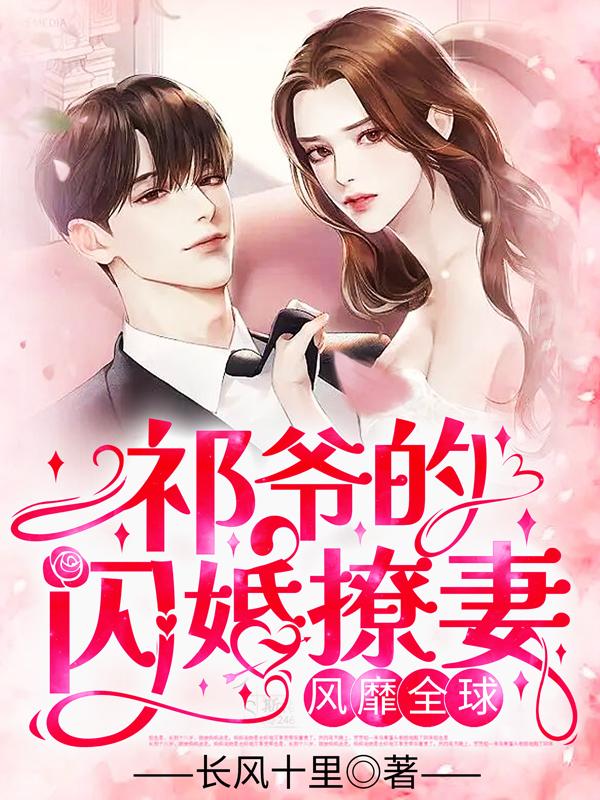 陈江陆红鸢小说封面