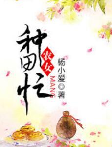 书名是沈星洛傅斯辰封面