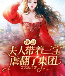 龙星神卫封面