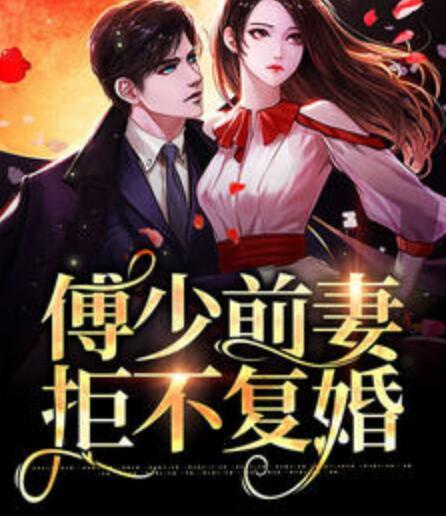 柳飞龙封面
