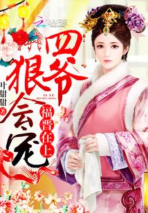 沈云归叶城君免费封面