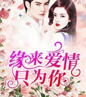 维持女配的尊严封面